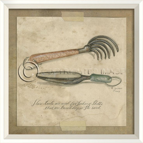 Shell Collecting Tools Framed Art