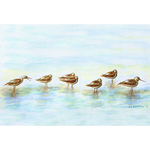 Tiny Avocets in the Surf Floor Mat