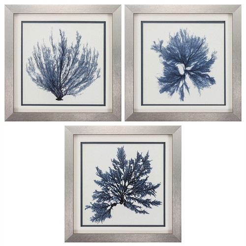 Silver Framed Coral Blue Art