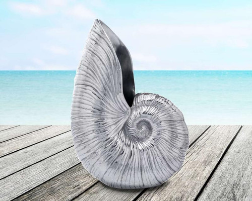 Shell Pitcher