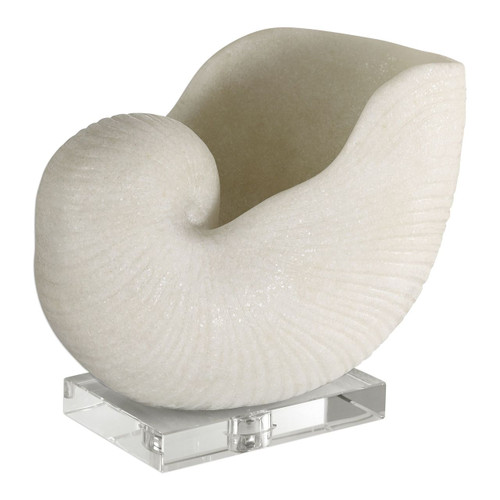 Nautilus Shell Decor