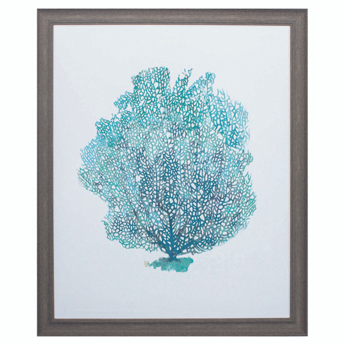 Aqua Sea Fan on White I