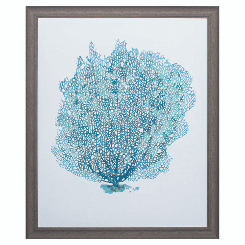Aqua Sea Fan on White II