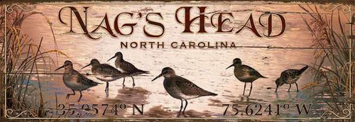 Sandpipers Latitude-Longitude Beach Sign