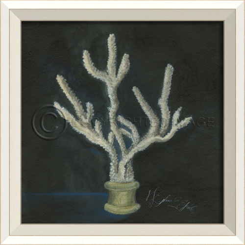 White Cottage Seashell Art No. 6