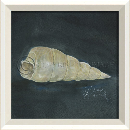 White Cottage Seashell No. 3 Framed Art