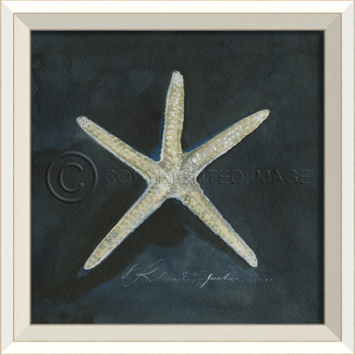 White Cottage Seashell Art No. 1