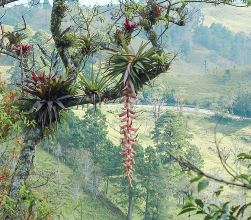 Two EcoTours Dates Announced