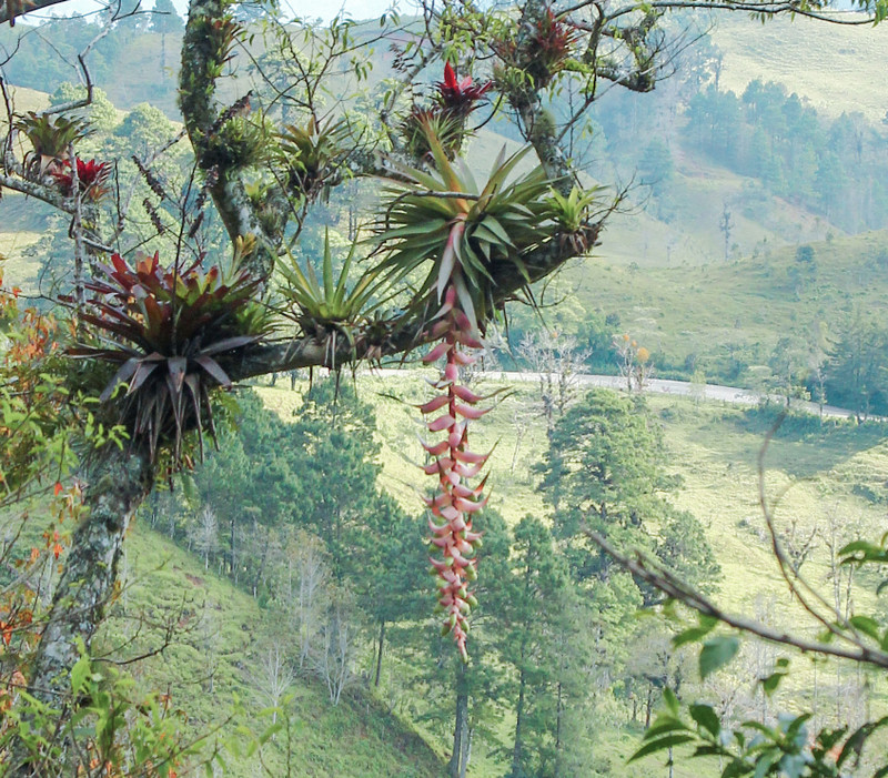 Two EcoTours Dates Announced