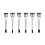 Solar Path LED Light - Stainless Steel Color
