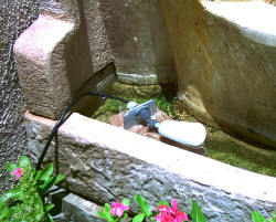 Fountain Water Control Unit - Auto Fill System