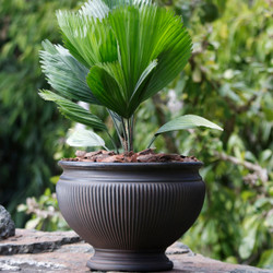 Elizabeth 16-Inch Diameter Planter in Rust