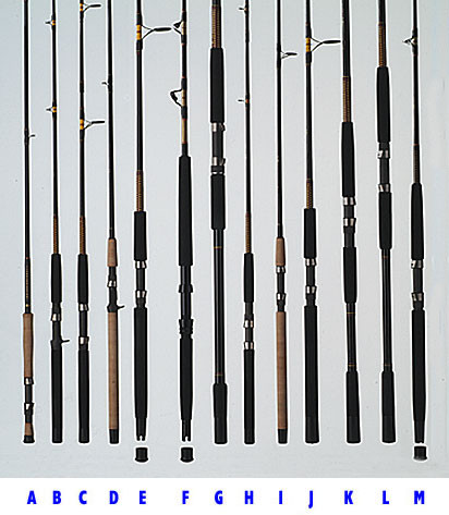 Shakespeare Ugly Stick Surf Rod 15 ft 2pc