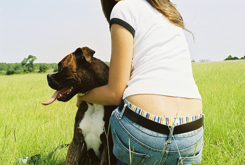Rainbow Stripe over White Boyshort