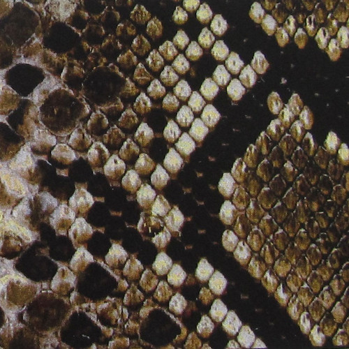Snake Skin Print Straps Swatch