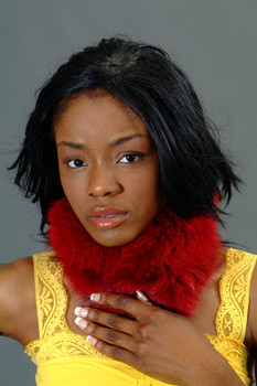 Red Fox Fur Collar Red Fox Fur Collar