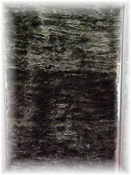 Small Sheared Beaver Fur Blanket Small Sheared Beaver Fur Blanket