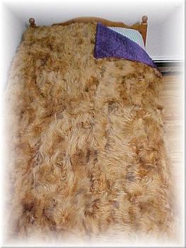 Sectional Dyed Racoon Fur Blanket Sectional Dyed Racoon Fur Blanket