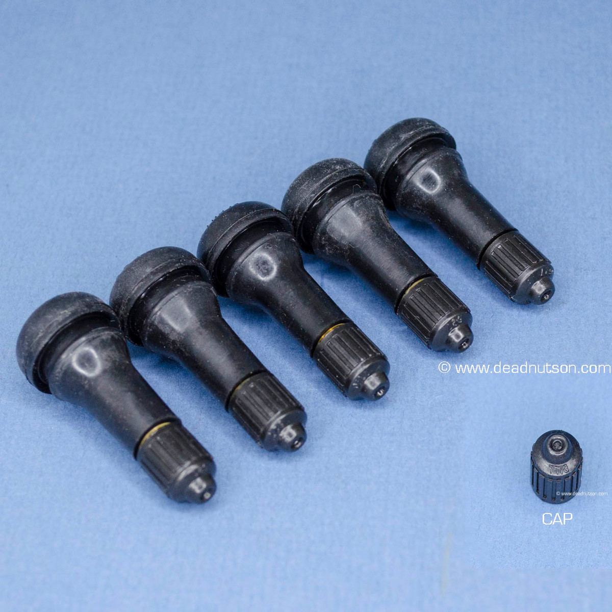 Dill Valve Stems & Caps (5) Dead Nuts On