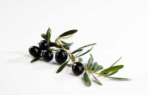 Salado House Blend Olive Oil