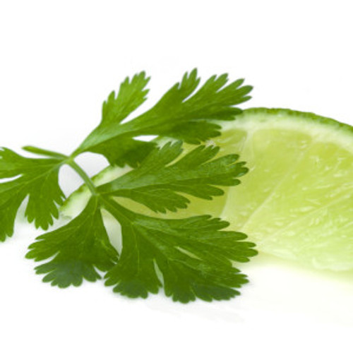 Cilantro Lime Olive Oil