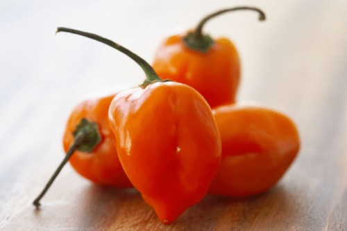 Citrus Habanero Olive Oil