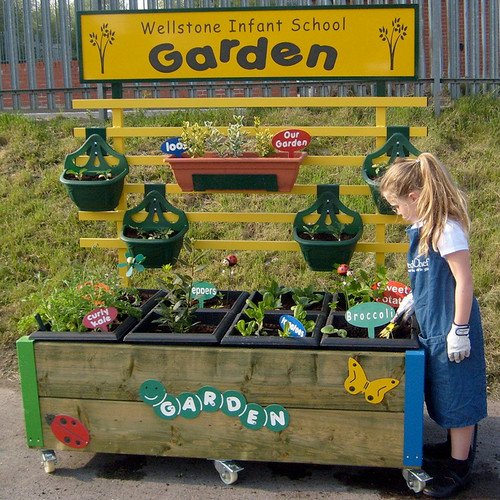 Complete Mini Garden