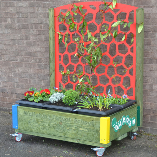 Garden Box with Trellis