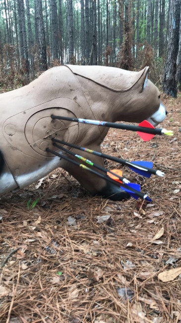 Archery Tournaments