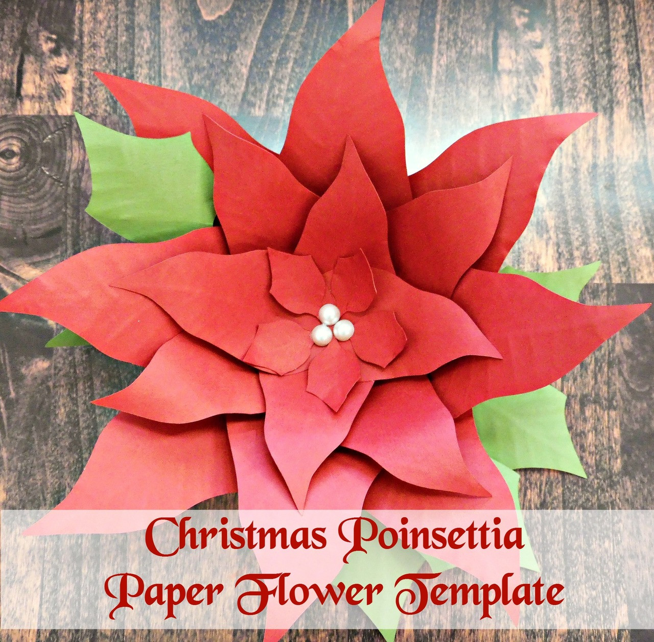 Poinsettia Flower Template - Catching Colorlfies