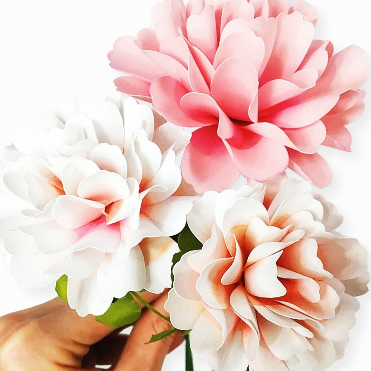 Free Free 113 Paper Flower Svg Template SVG PNG EPS DXF File