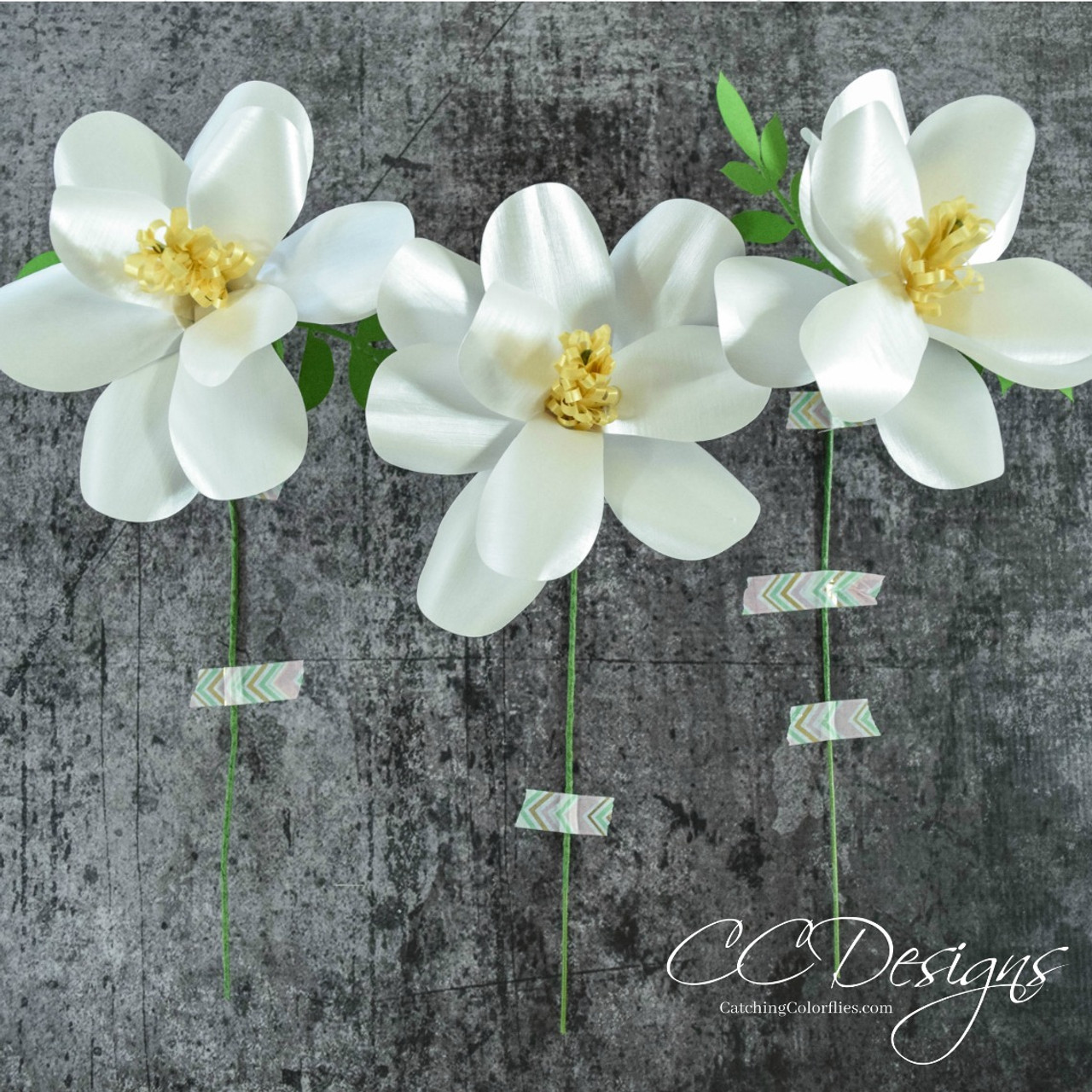 Free Free 122 Magnolia Flower Svg Free SVG PNG EPS DXF File