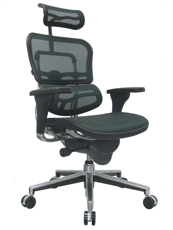 Eurotech Ergohuman High Back Office Chair in Green Mesh