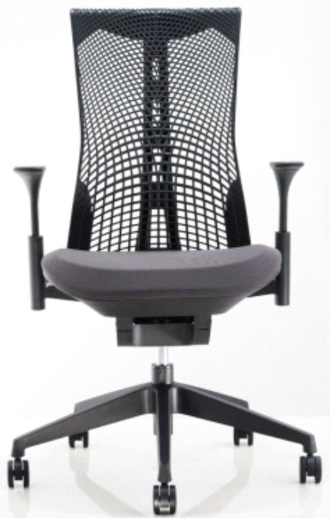Lemoderno Emsteright Office Chair Flex Back