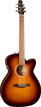 Seagull Entourage Rustic CW Concert Hall Q1T Acoustic/Electric Seagull Entourage Rustic CW Concert Hall Q1T Acoustic/Electric