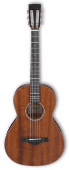 Ibanez Artwood Vintage Thermo Aged AVN9-OPN Open Pore Natural Ibanez Artwood Vintage Thermo Aged AVN9-OPN Open Pore Natural