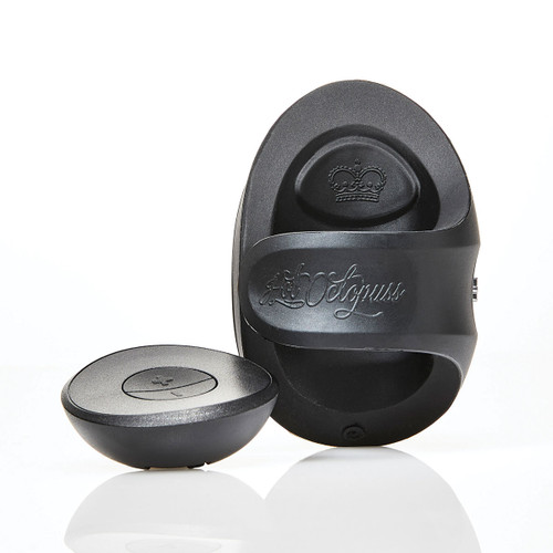 Hot Octopuss Pocket Pulse Remote
