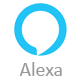 Work with Amazon Alexa