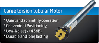 Large torsion tubular Motor