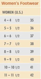 haflinger sizing