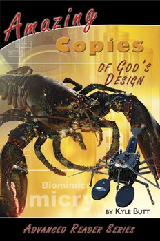 Amazing Copies of God's Design Amazing Copies of God's Design