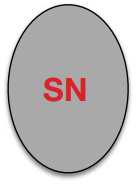 helmet-shape-sn.jpg