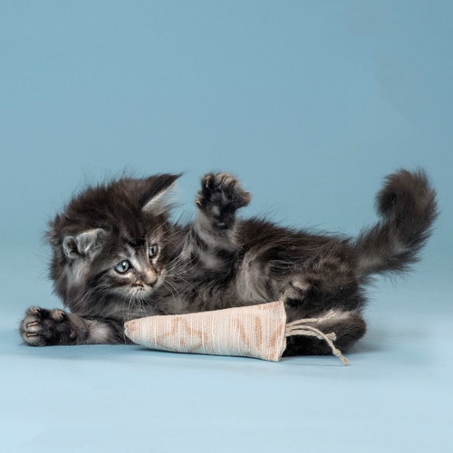 Twine Carrot Cat Toy Twine Carrot Cat Toy