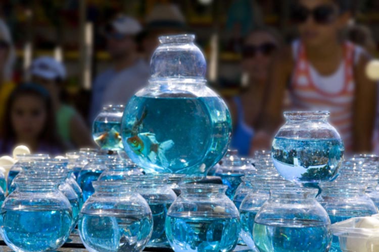 Image of traditional fishbowls for the fishbowl carnival game