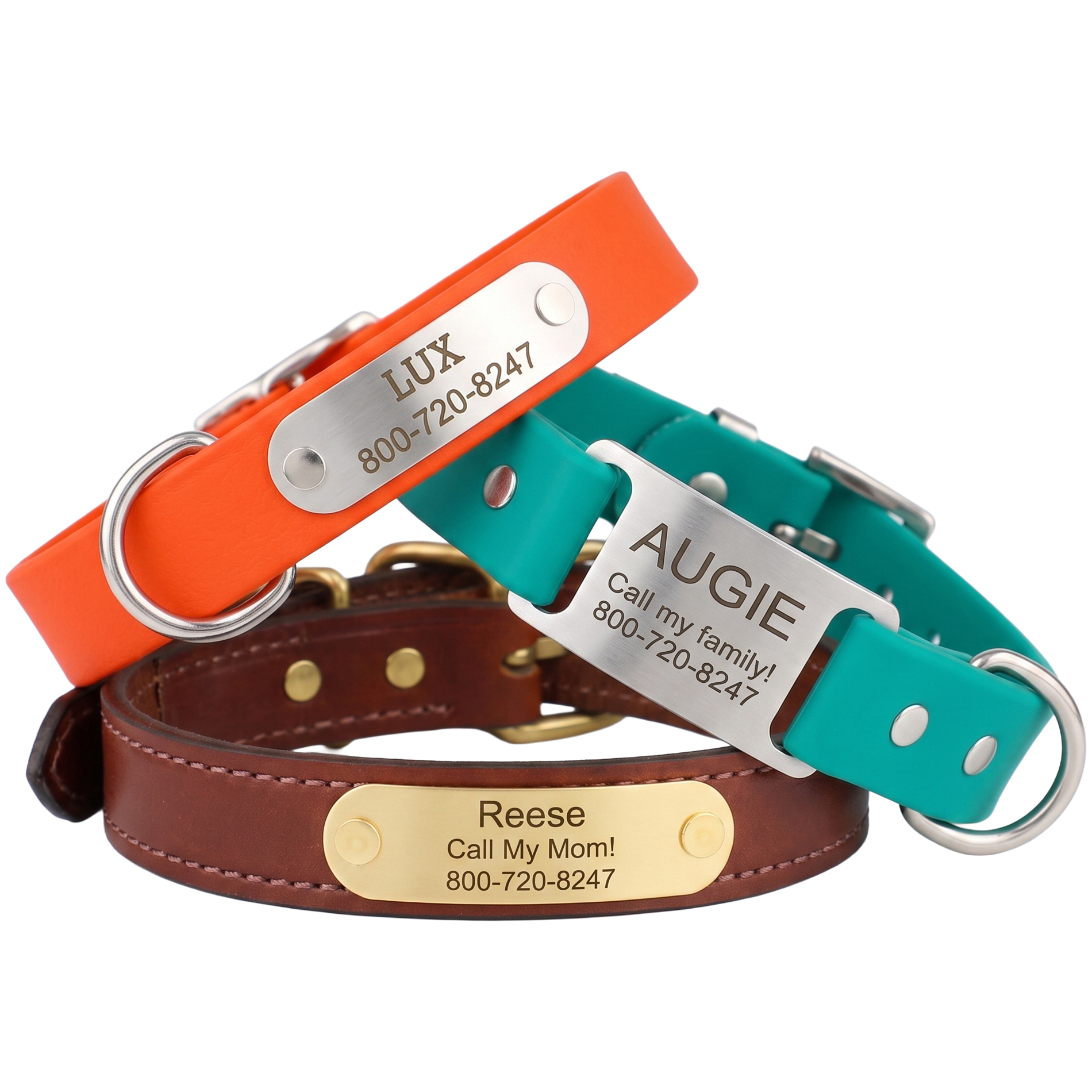 Personalized Dog Collar