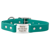 Dog Collar with Personalized Name Plate
