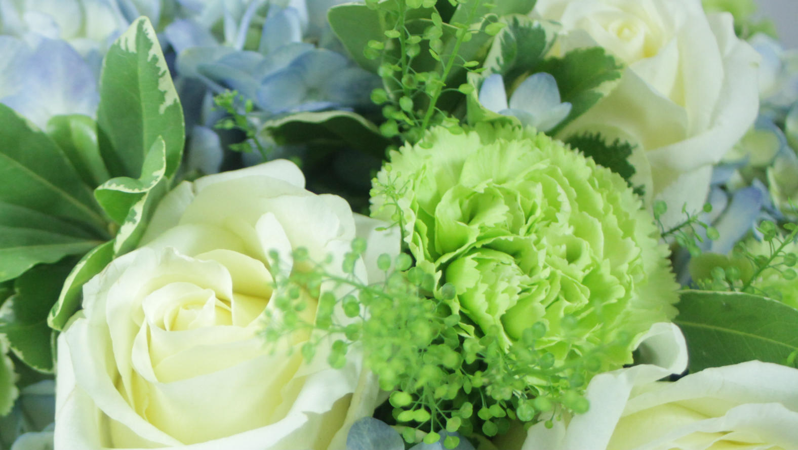 hydrangea-bouquet-fs.jpg hydrangea-bouquet-fs.jpg