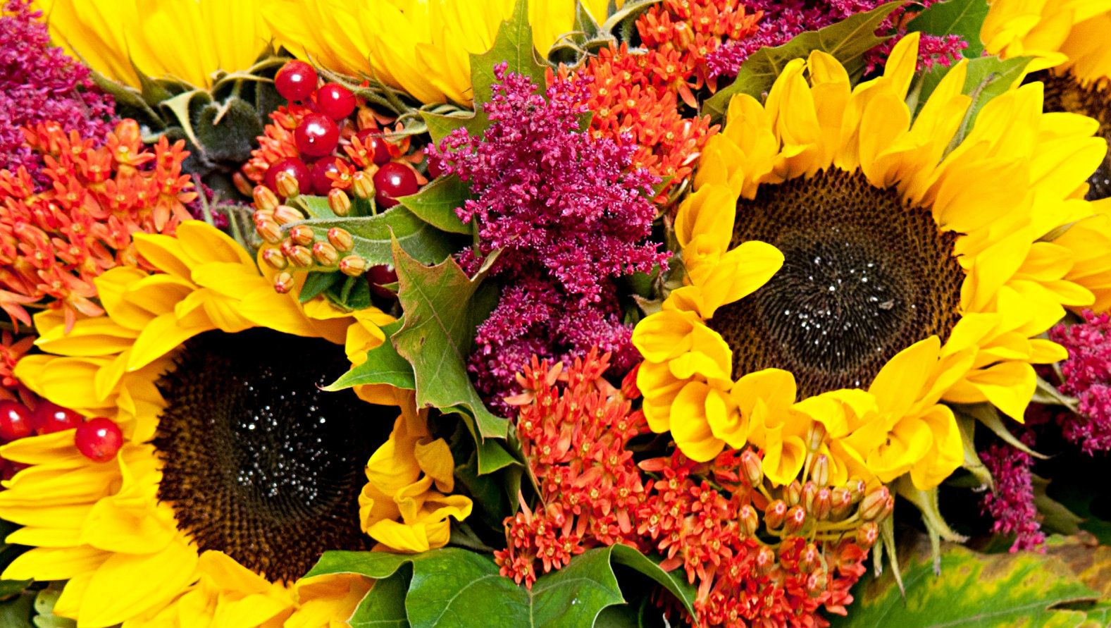 luxury-sunflowers.jpg luxury-sunflowers.jpg