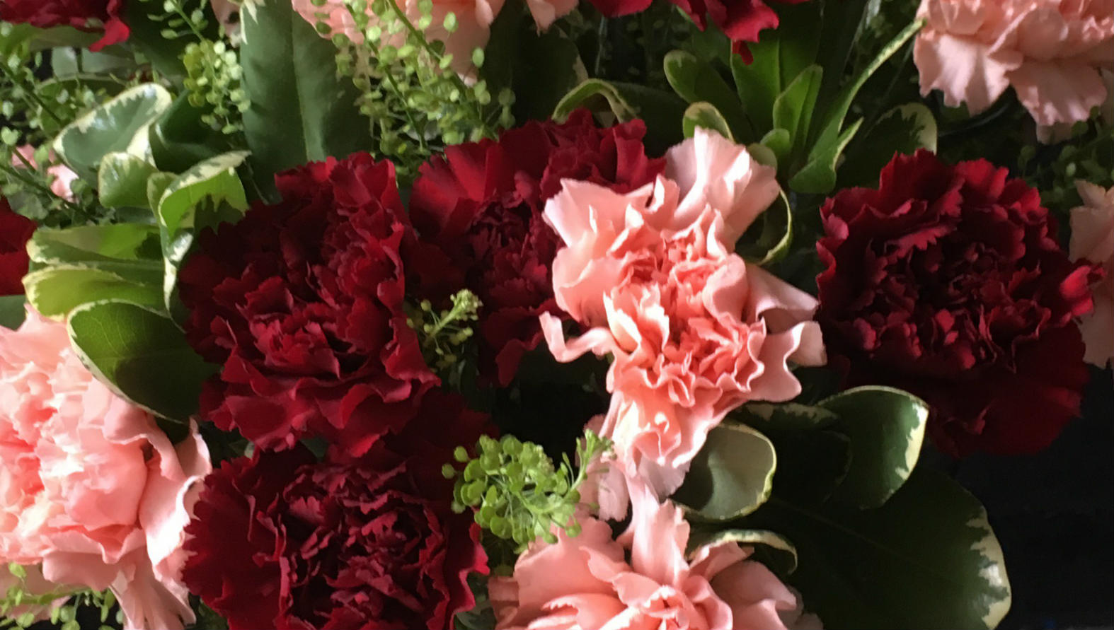 mixed-dianthus-bouquet.jpg mixed-dianthus-bouquet.jpg