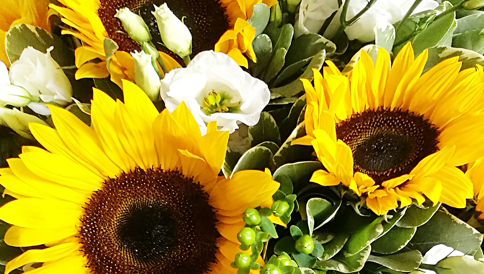 sunflowers-bouquet.jpg